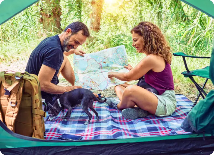 Simulate consolidation